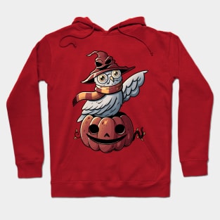 Spooky Magic Cute Funny Pumpkin Owl Hoodie